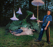 Der Traum des Dr. Belanushi, Öl auf Leinwand, 200x230 cm, 2016