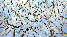 Pollock birds 1__200x350 cm, Acryl, Lack auf Leinwand, 2025200x350cm, 2025